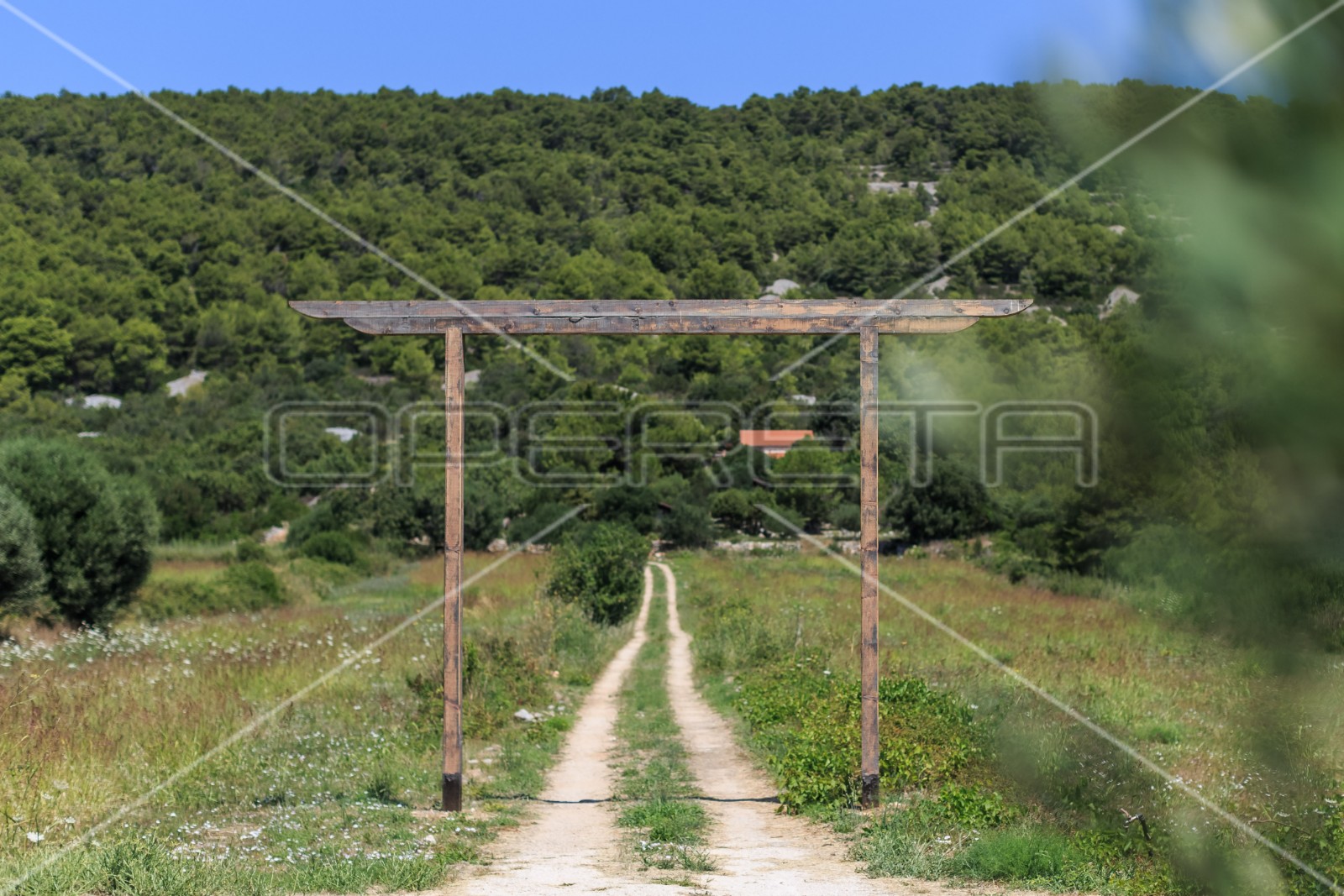 OPERETA_374546