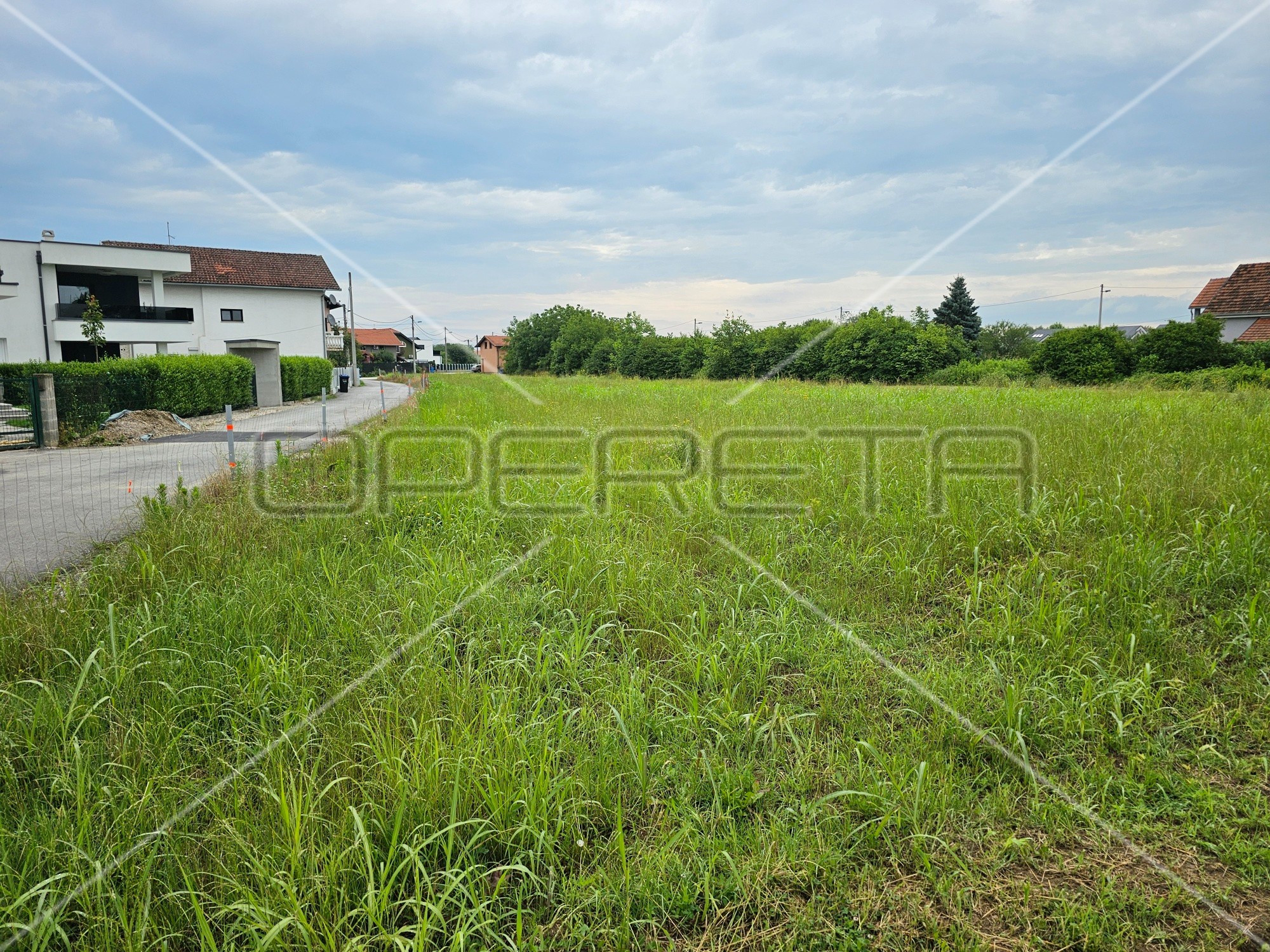 OPERETA_445993