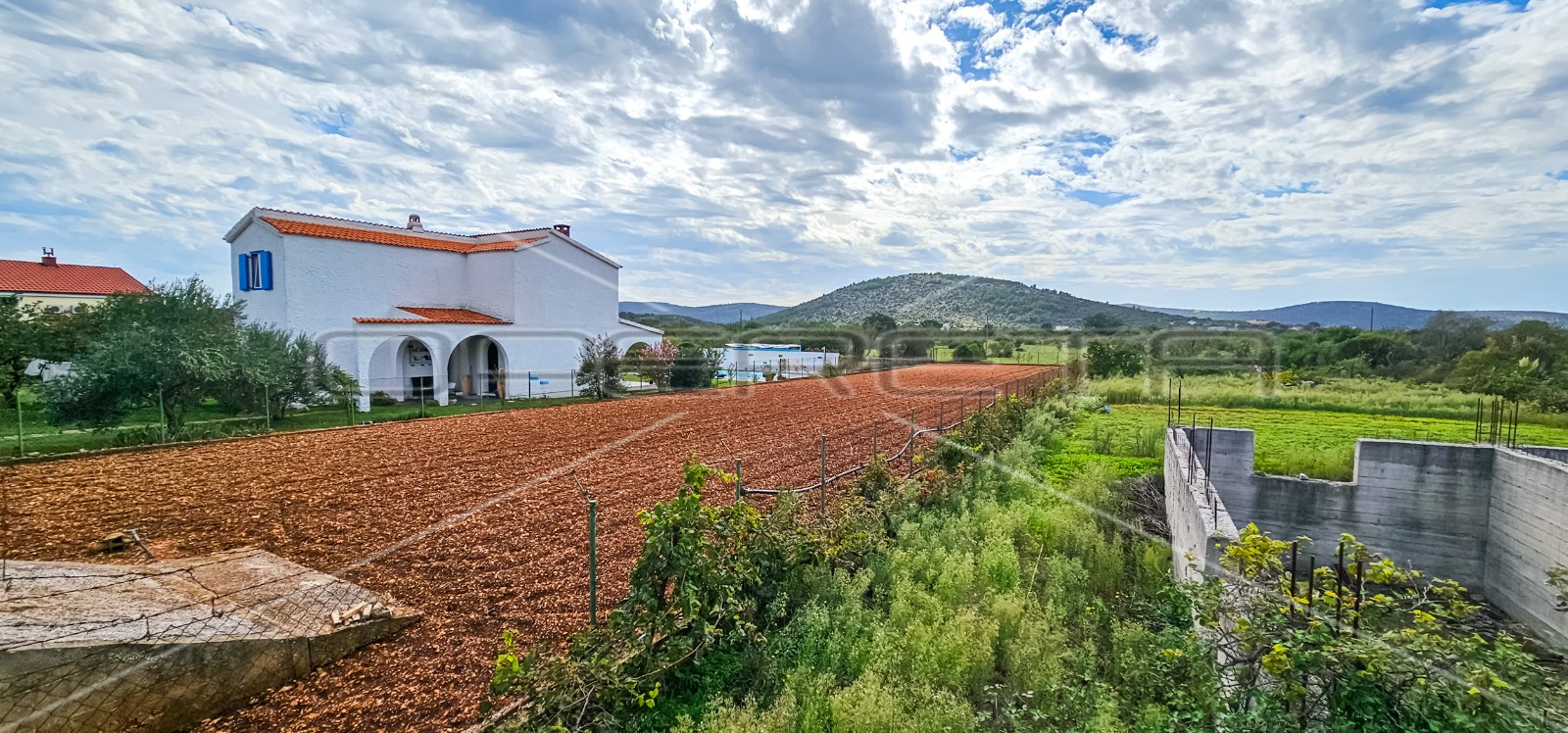 OPERETA_469948
