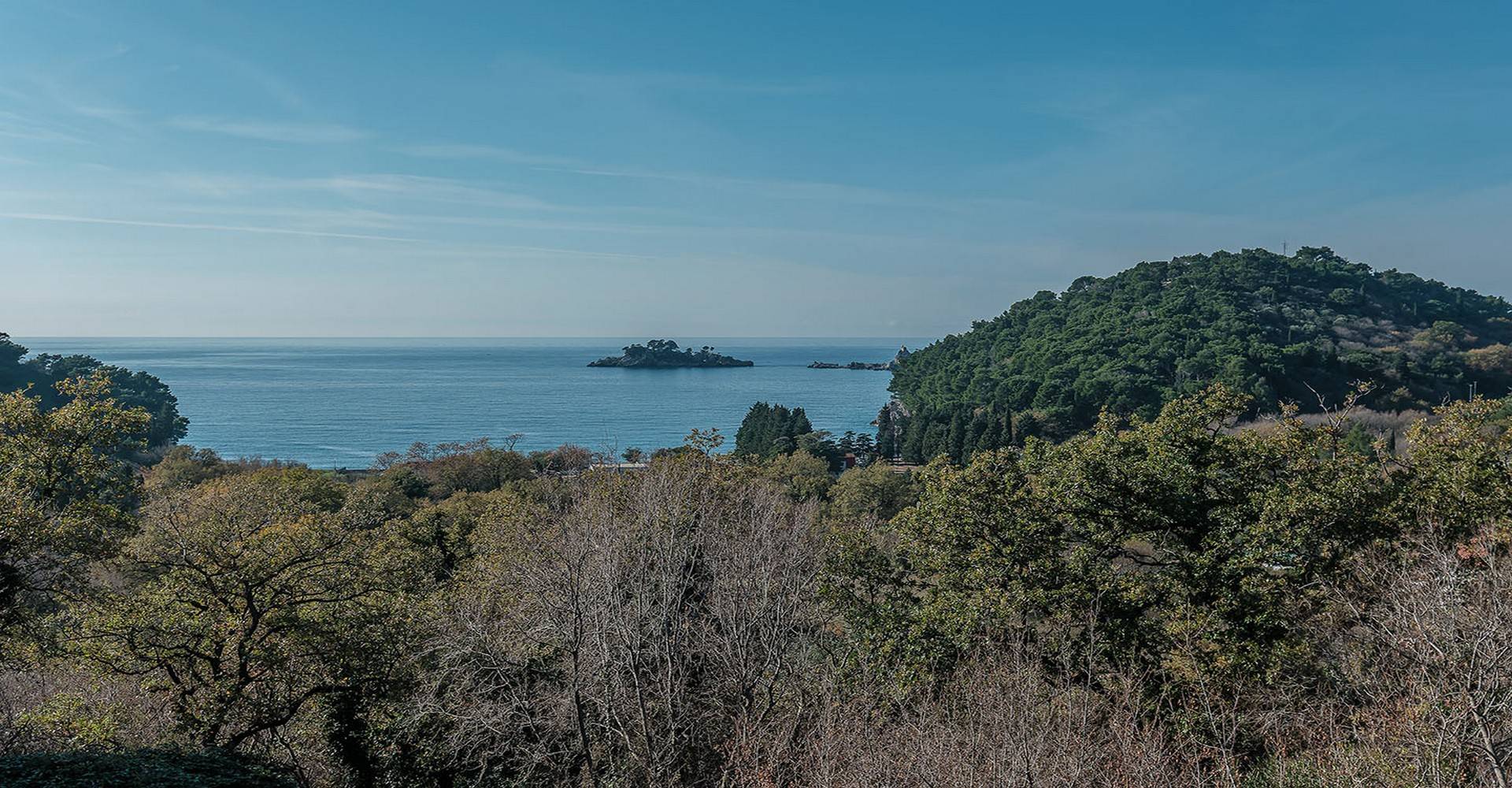 cover-photo-2